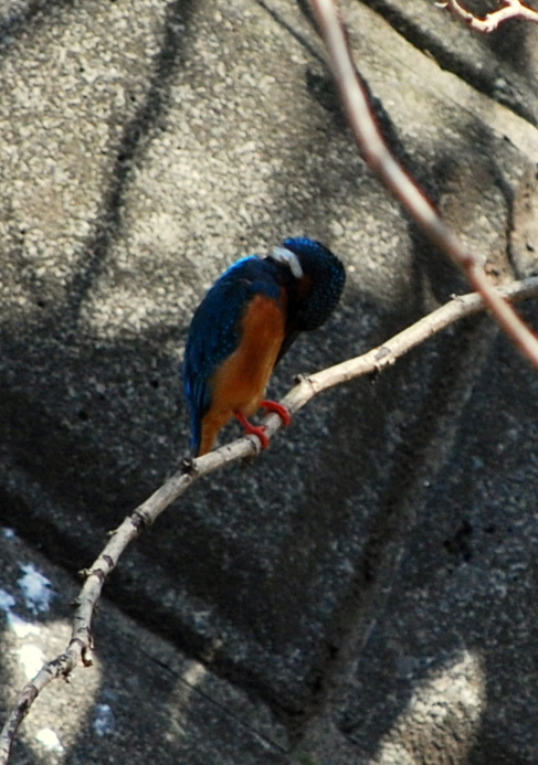 d0085228_16204949.jpg