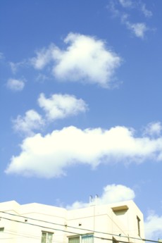 b0093830_20334212.jpg