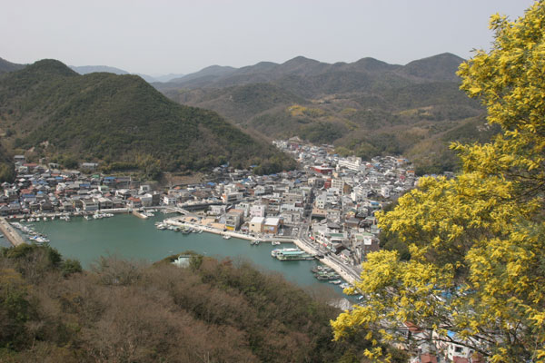 d0036630_937617.jpg