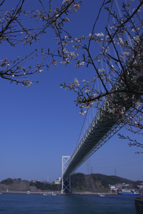 c0216331_713178.jpg