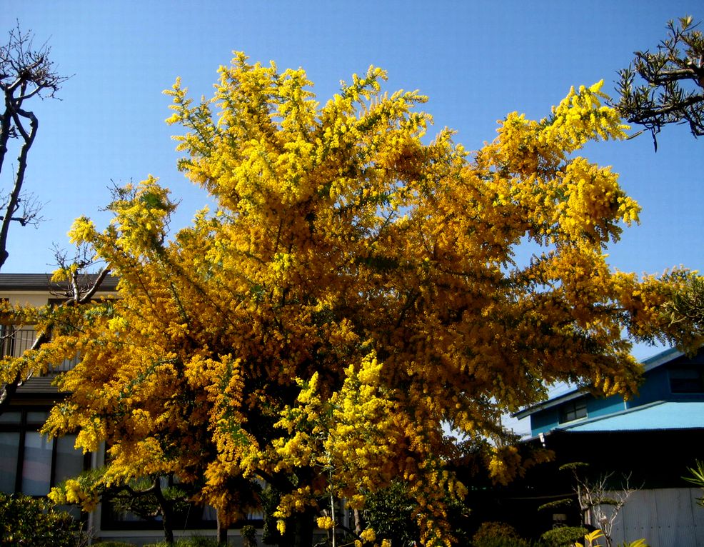 e0149934_23371982.jpg