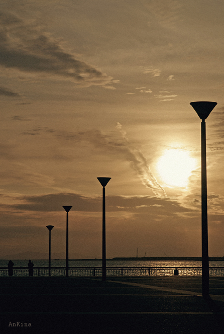 f0162334_20301311.jpg