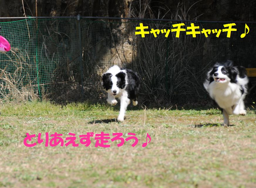 c0147241_23562183.jpg