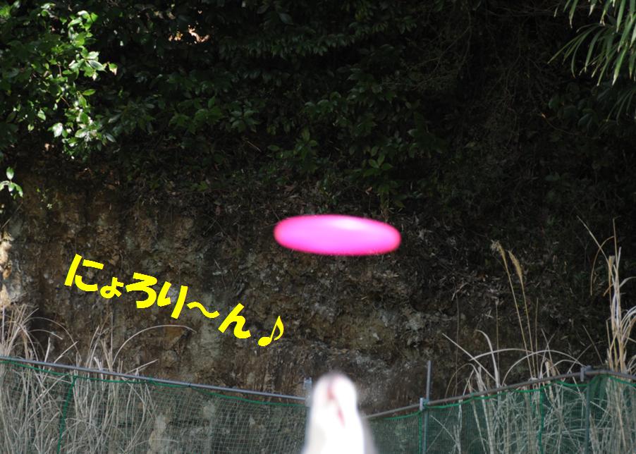 c0147241_23571659.jpg