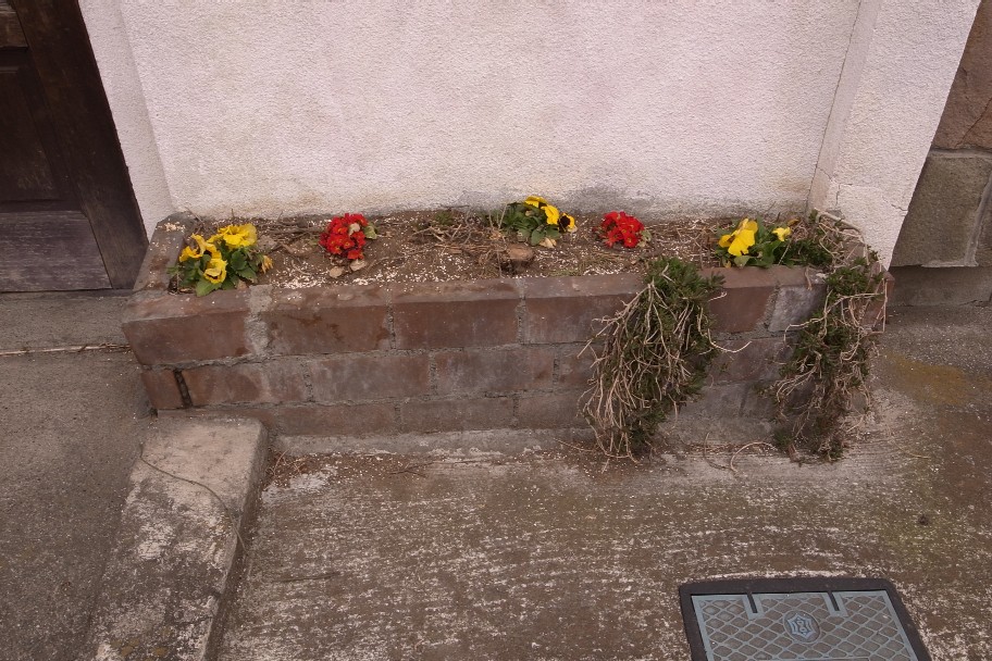 e0009147_19395595.jpg