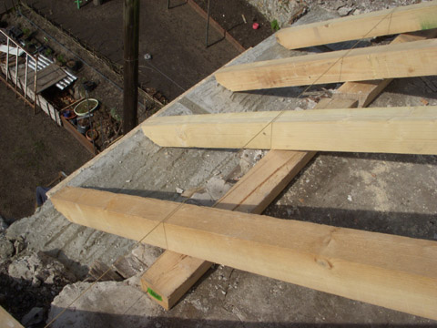 b0069848_541683.jpg