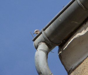 b0069848_5504218.jpg