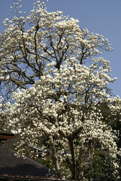 f0214649_21385881.jpg