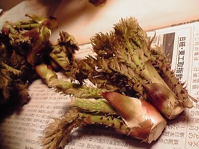 e0163553_22192569.jpg