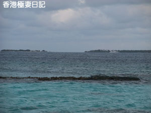 f0190653_8285832.jpg