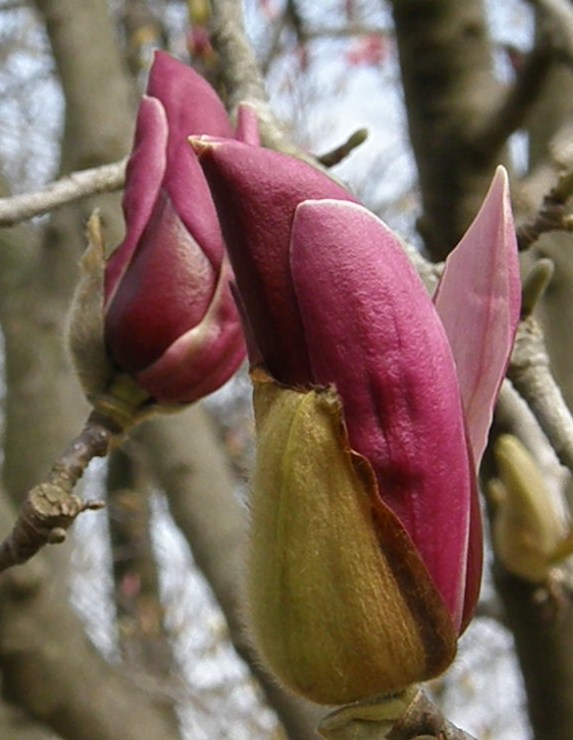 e0064158_2255328.jpg