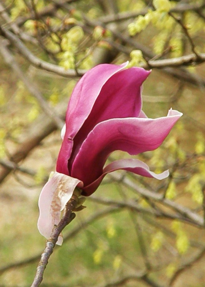 e0064158_2255361.jpg