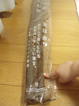 f0206162_15472145.jpg