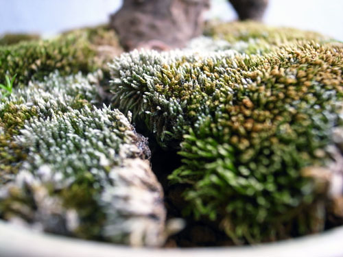 c0048265_116166.jpg