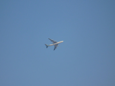 e0159865_13455195.jpg