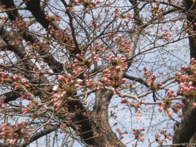 c0112172_9301867.jpg