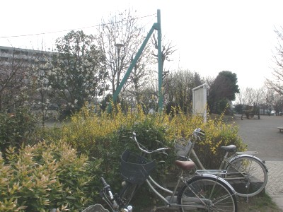 c0112172_9303379.jpg