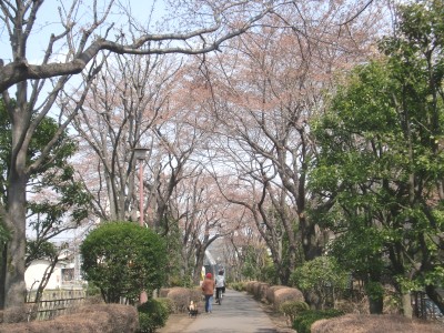c0112172_930963.jpg