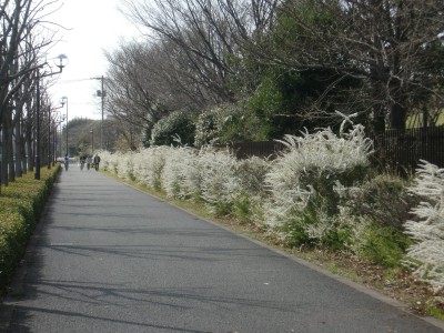 c0112172_93131.jpg