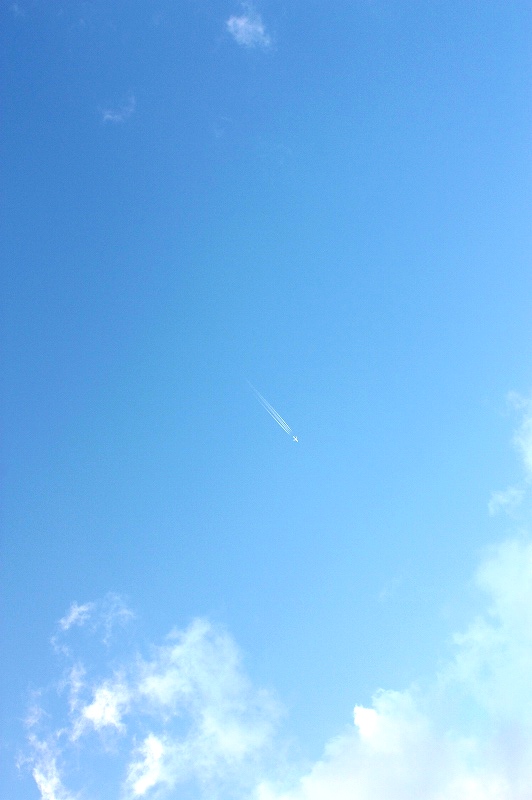 a0169673_146764.jpg