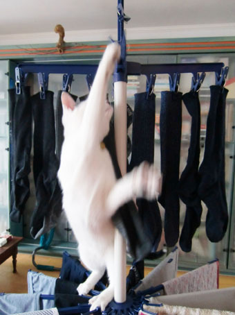 c0226874_13251383.jpg