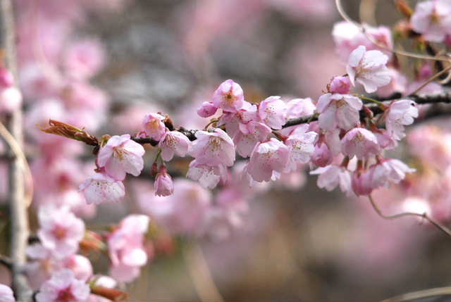 f0202686_21261558.jpg