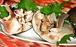 b0068687_2147642.jpg