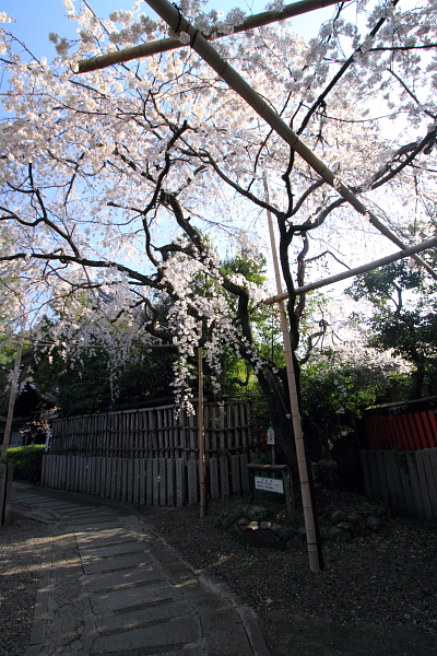 e0051888_782931.jpg