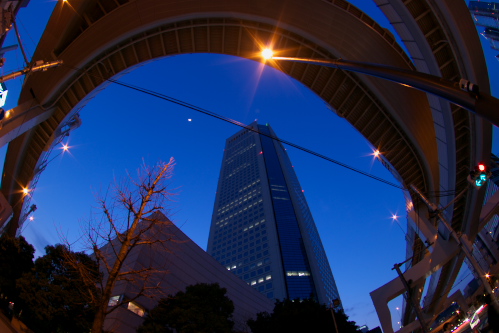 c0082191_813288.jpg