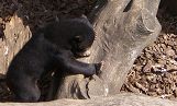 f0224393_10361055.jpg
