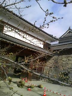 c0062796_7574888.jpg