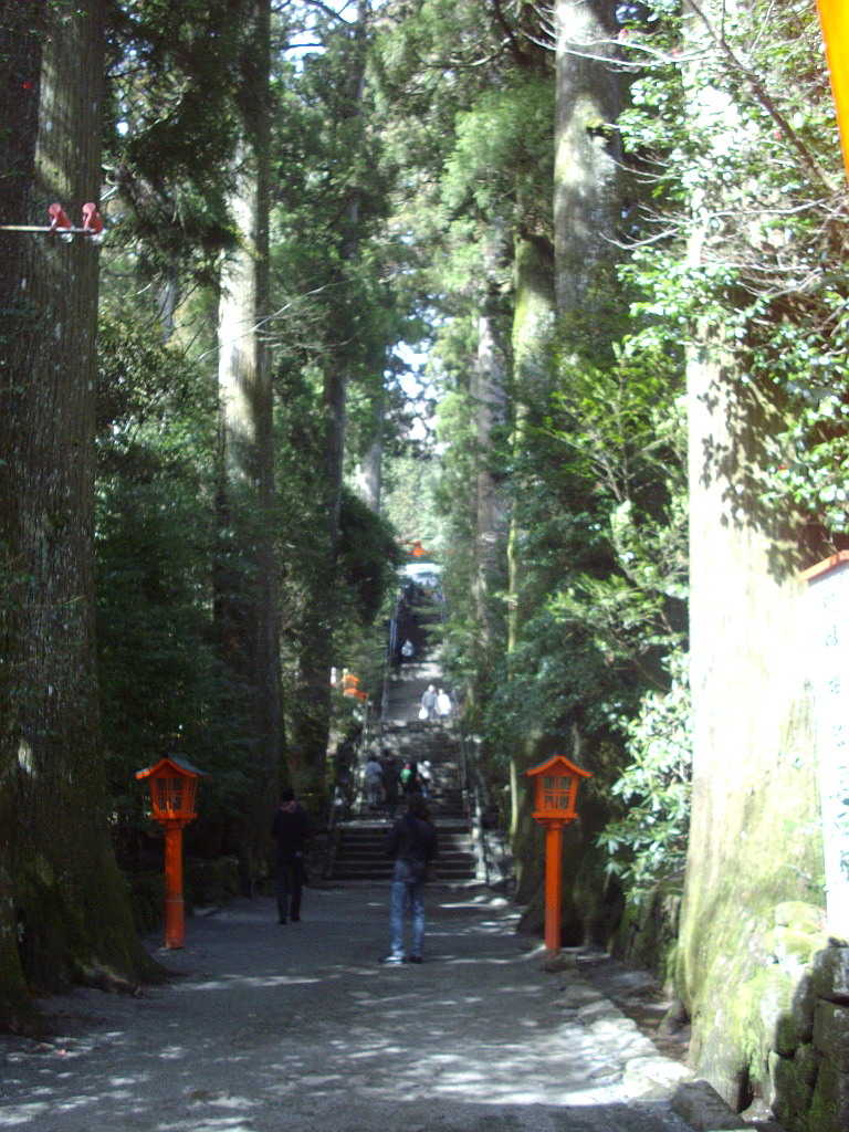 c0138198_1534678.jpg