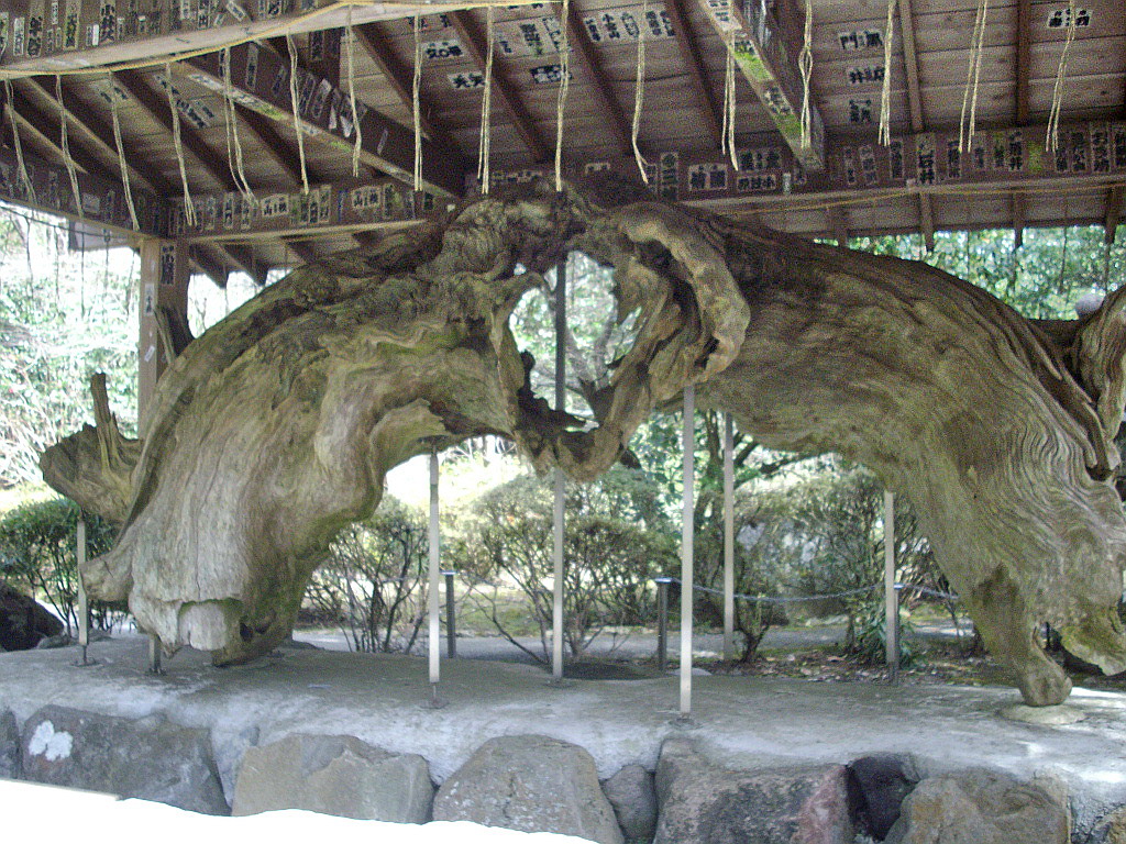 c0138198_15404296.jpg