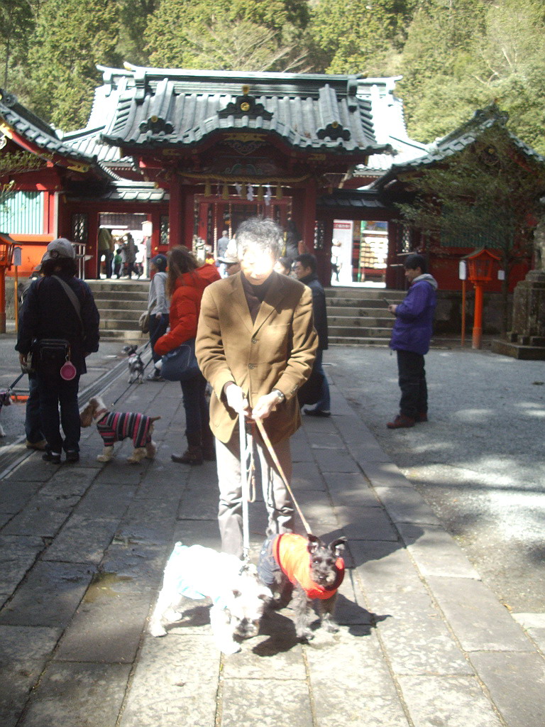 c0138198_16262047.jpg