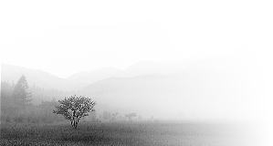 c0074000_2124949.jpg