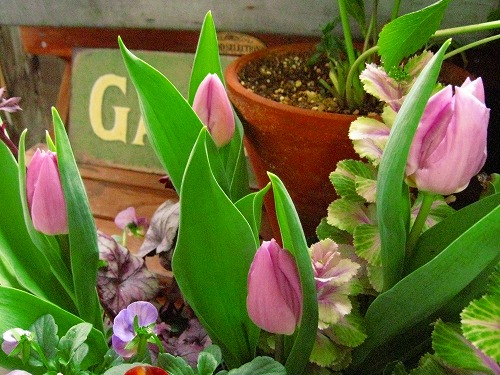 c0227800_7564460.jpg