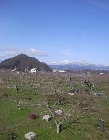 e0043700_2275579.jpg