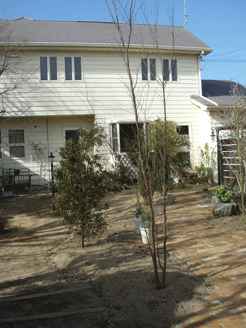 c0129702_2047134.gif