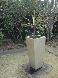 c0129702_20501071.gif