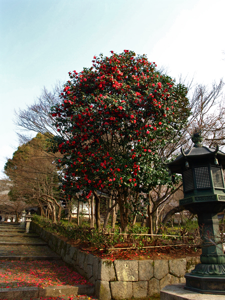 c0177502_022553.jpg