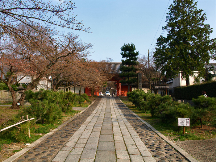 c0177502_023670.jpg
