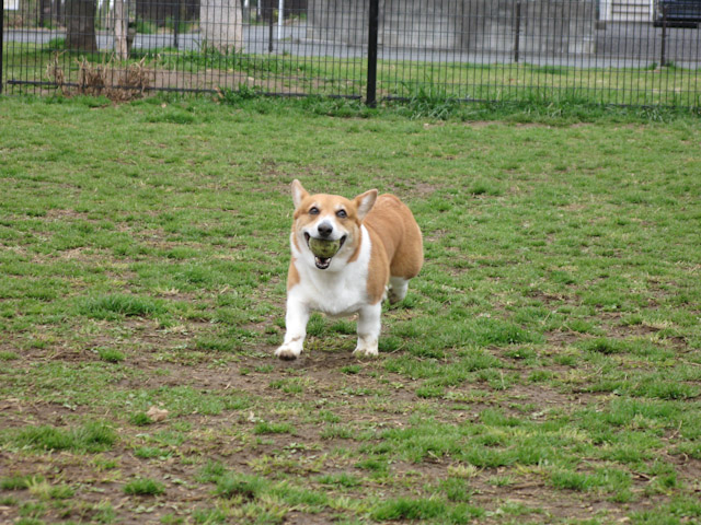 a0024004_22351982.jpg