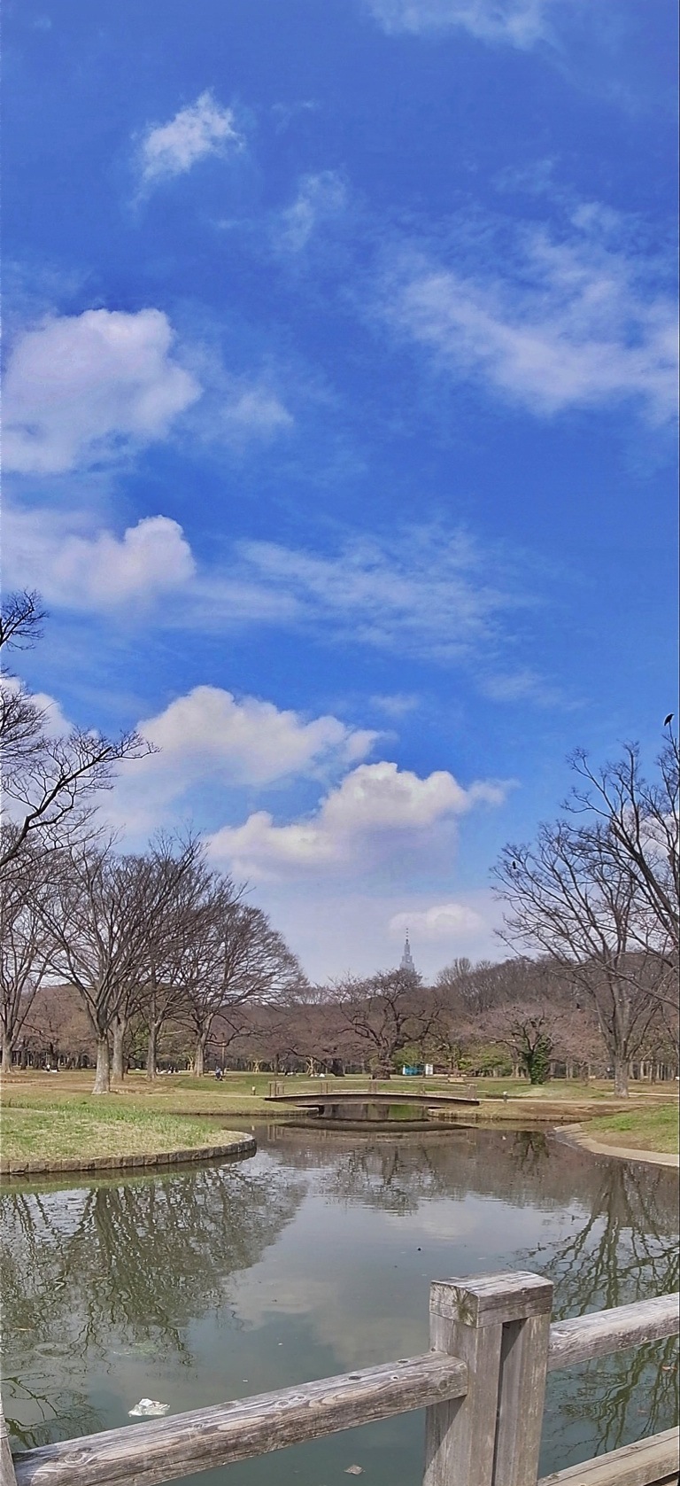 e0138804_10591011.jpg