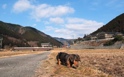 f0135908_1264499.jpg