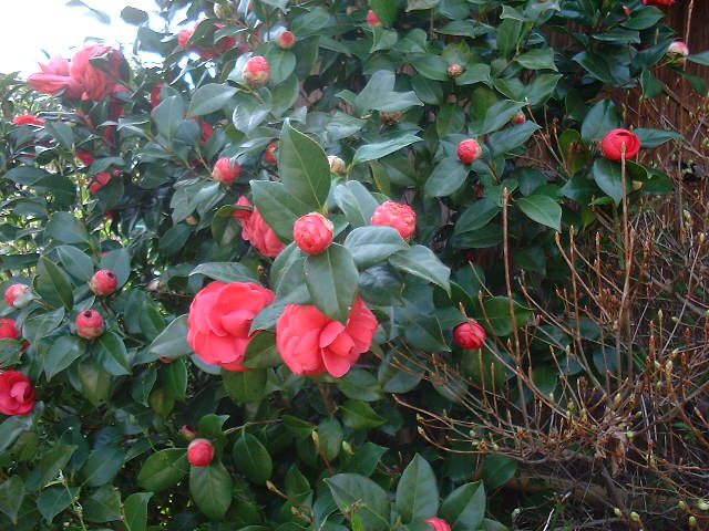 f0173908_18143515.jpg