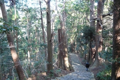 f0221708_1656271.jpg