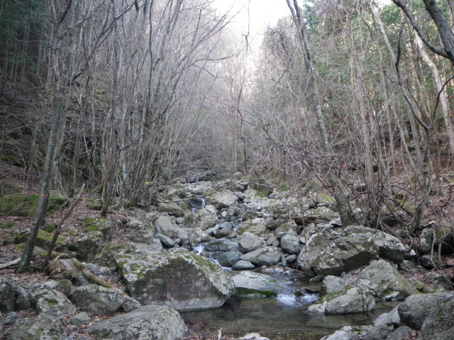 d0006512_23372365.jpg