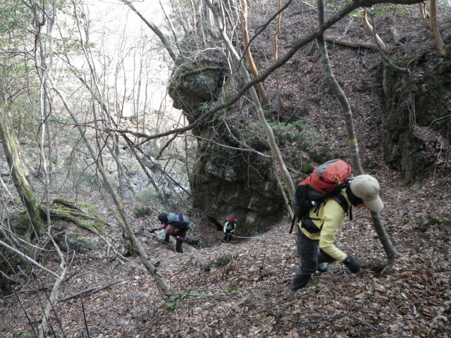 d0006512_2338338.jpg