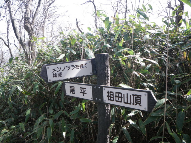 d0006512_23405019.jpg