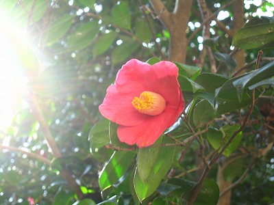 a0111621_1251249.jpg